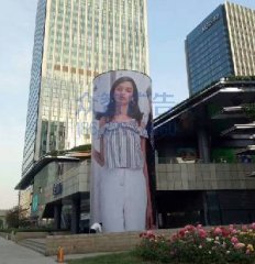 ���ݵ��̈�-��������Ӯ���